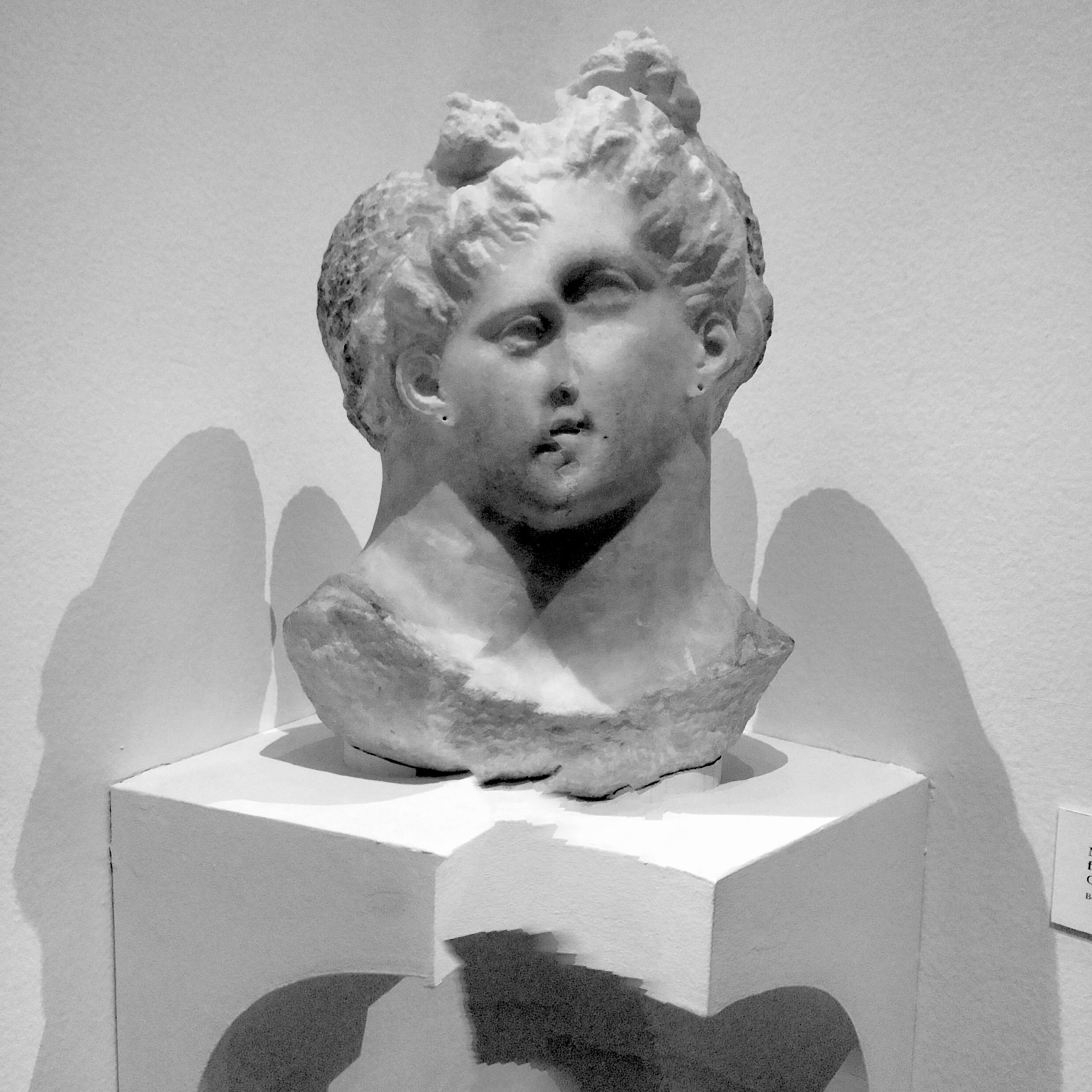 2016-01-09 14.44.04-1-bw