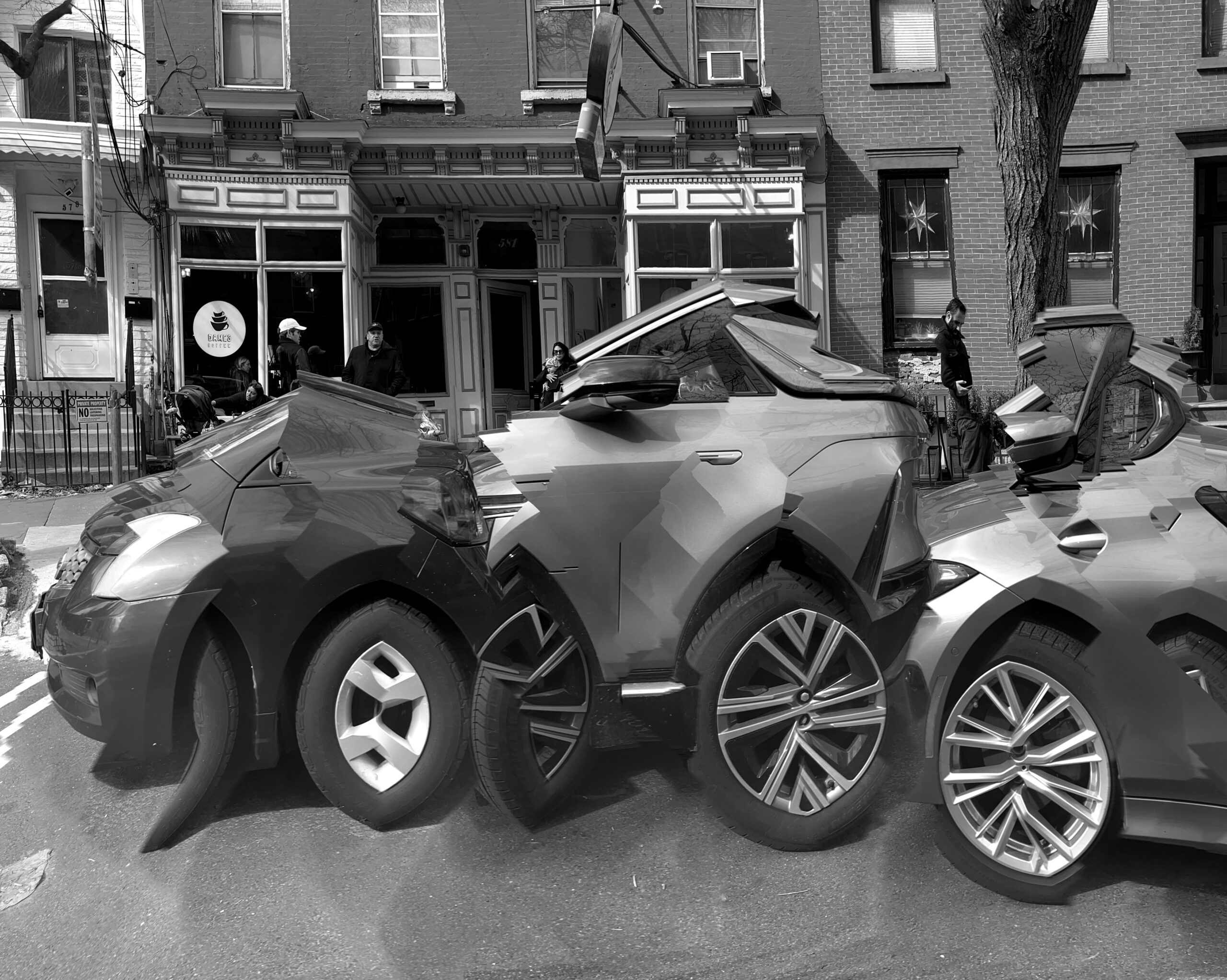 Invasive Species 2025-03-08 11.31.35_16x20a