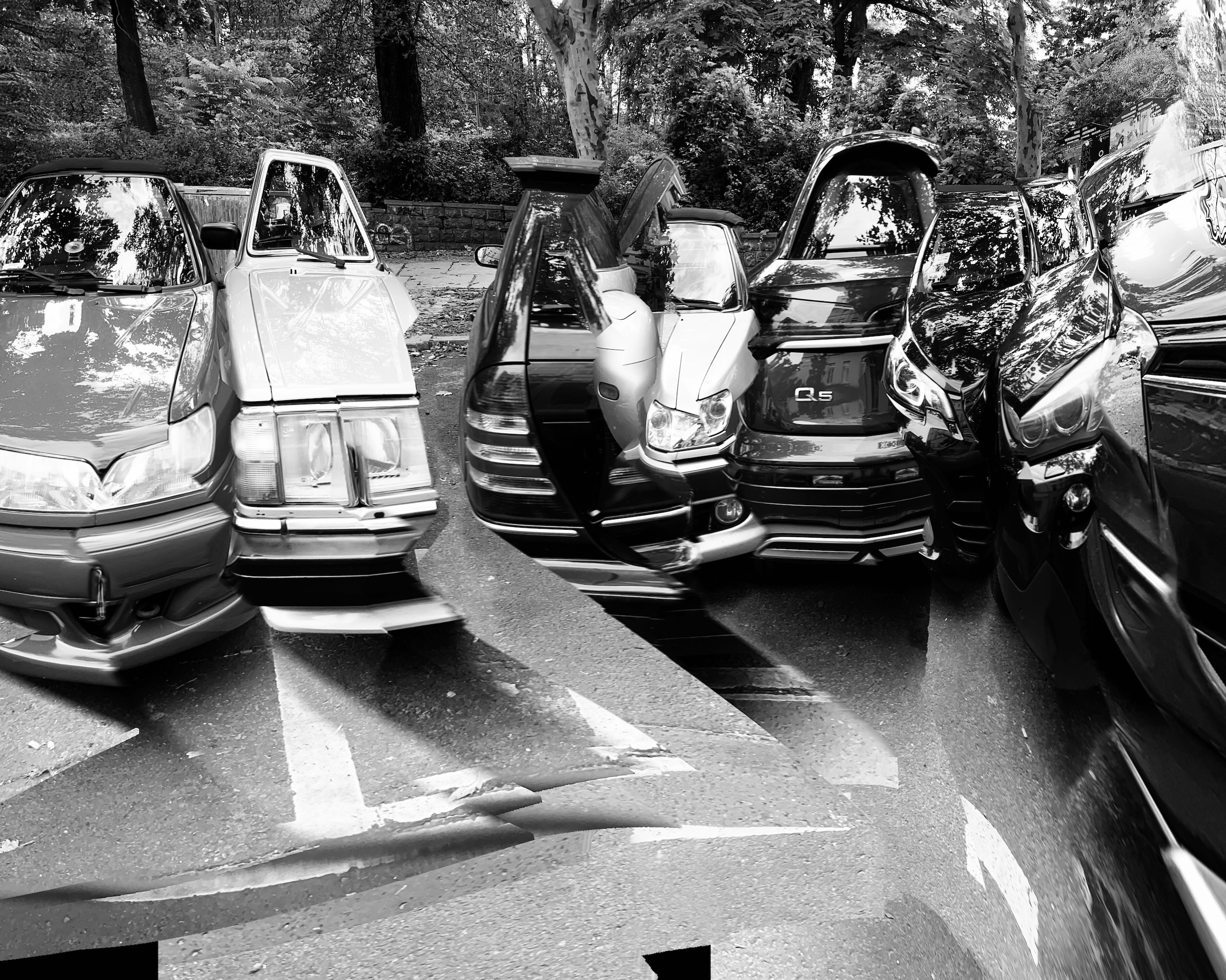 Invasive Species 2025-09-13 09.34.01