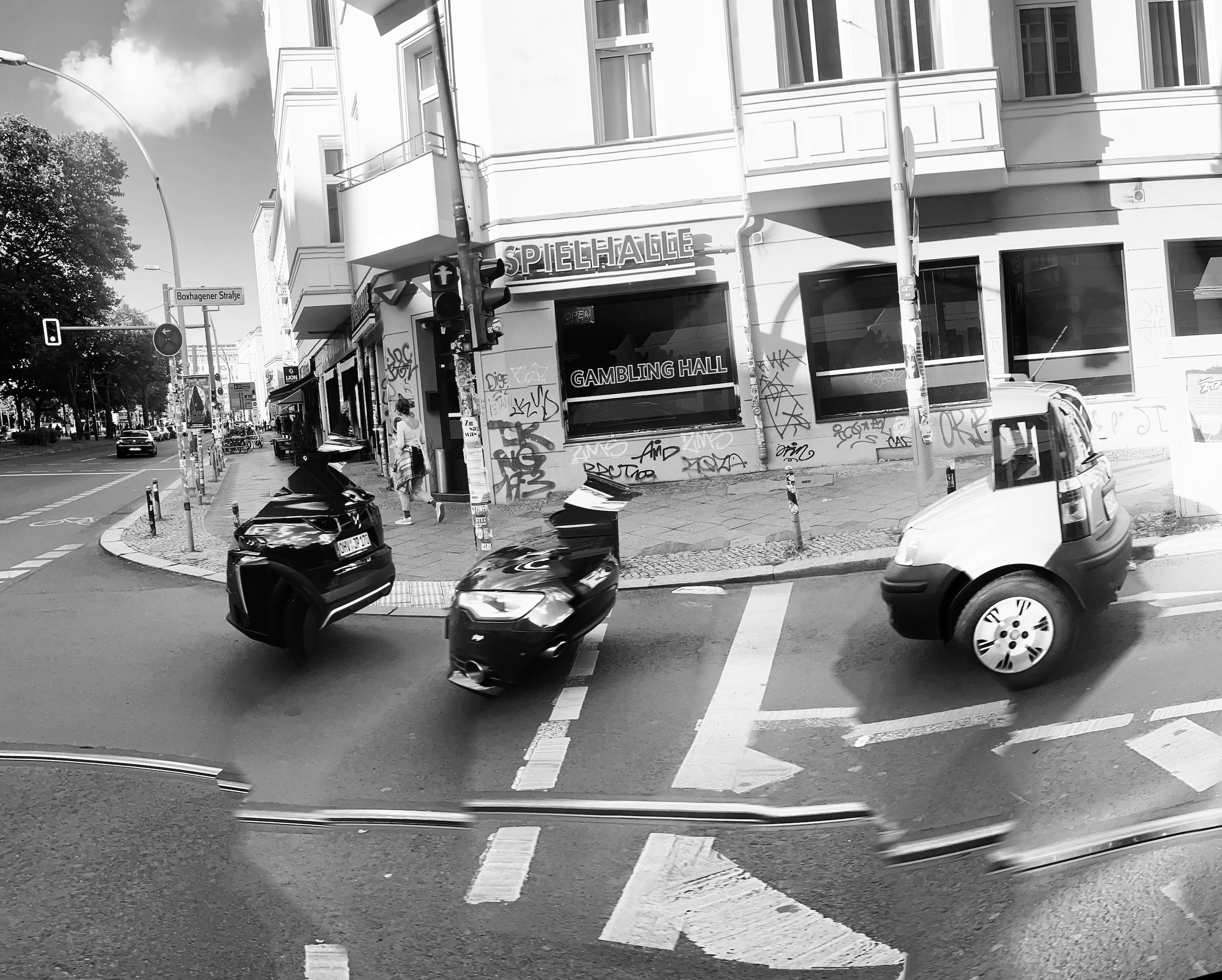 Invasive Species 2025-09-14 11.33.39